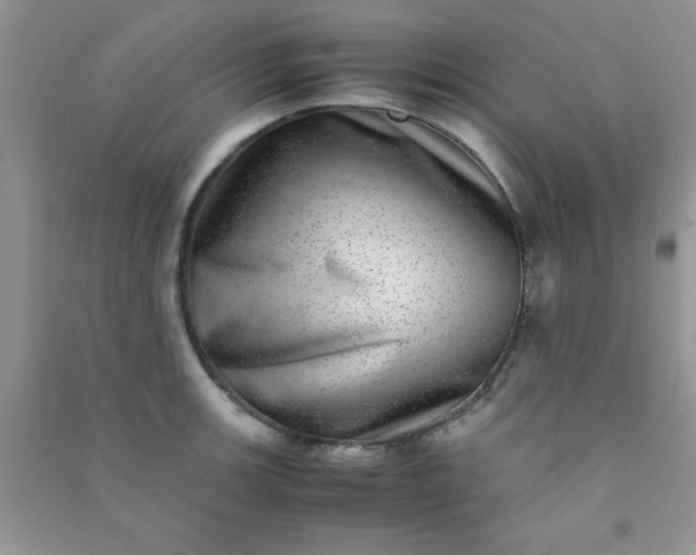 X0000090991139200708161911