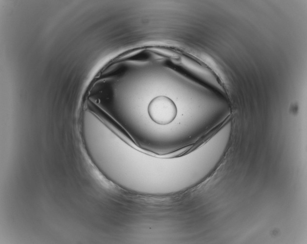 X0000090991140200708161911