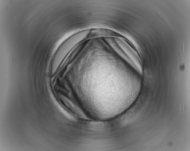 X0000090991142200708161911