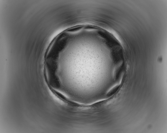 X0000090991143200708161911