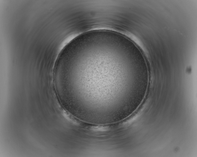 X0000090991145200708161911