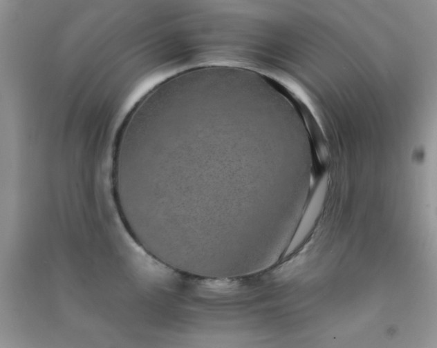 X0000090991147200708161911