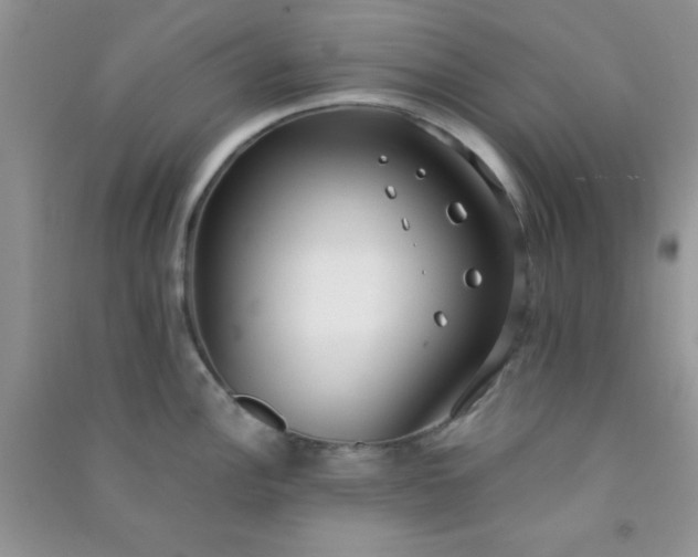 X0000090991148200708161911