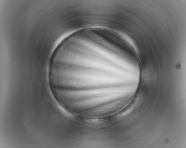 X0000090991149200708161911