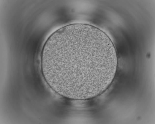 X0000090991150200708161911