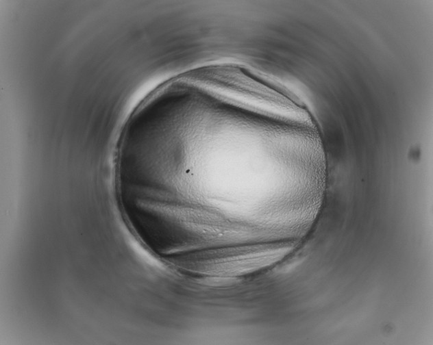 X0000090991151200708161911