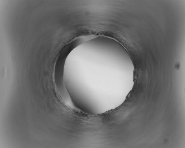X0000090991153200708161911