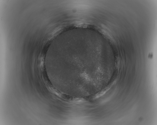 X0000090991154200708161911