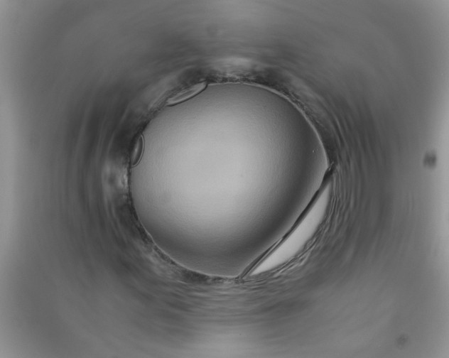 X0000090991155200708161911