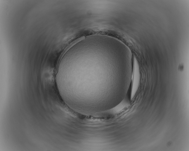 X0000090991156200708161911