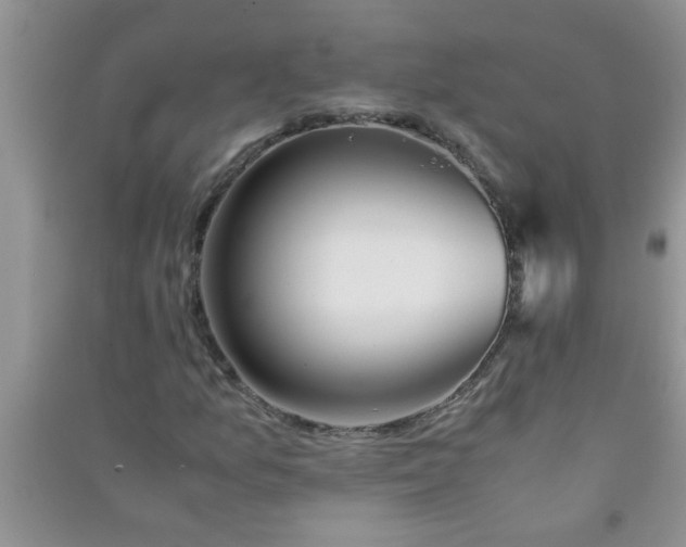 X0000090991157200708161911