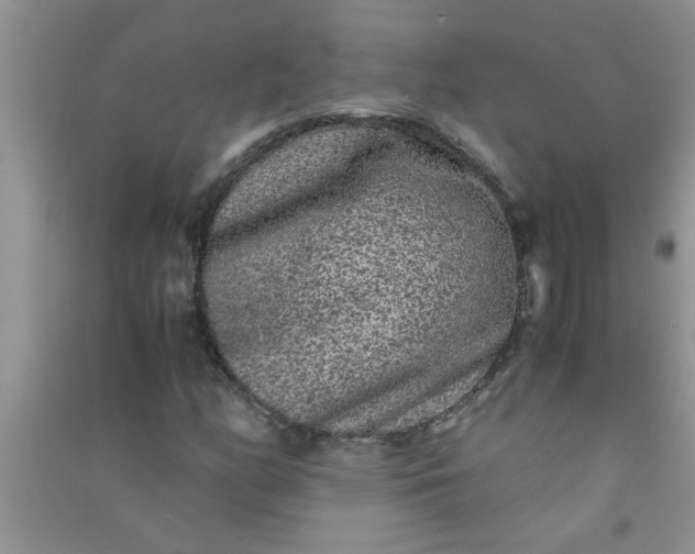 X0000090991158200708161911