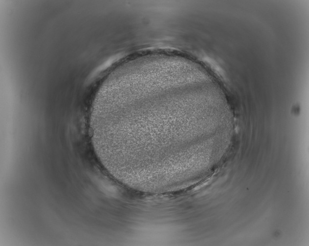 X0000090991159200708161911