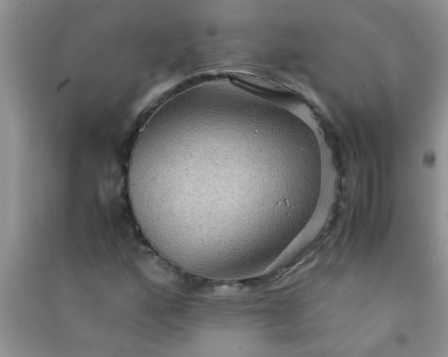 X0000090991160200708161911