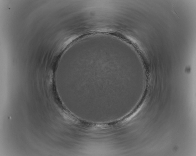 X0000090991161200708161911