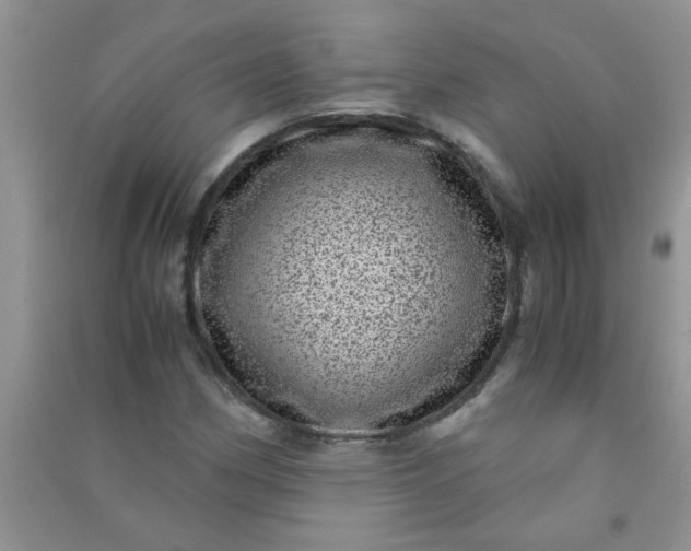 X0000090991162200708161911