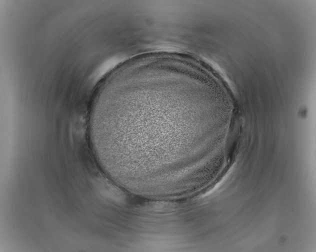X0000090991163200708161911