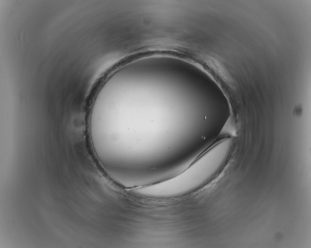 X0000090991164200708161911