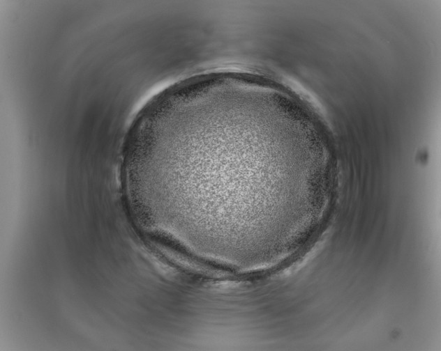 X0000090991166200708161911