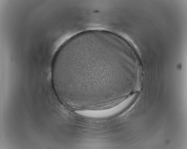 X0000090991167200708161911
