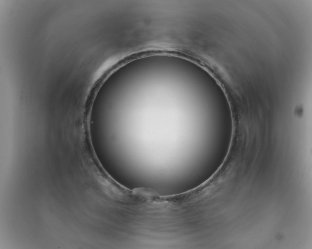 X0000090991168200708161911