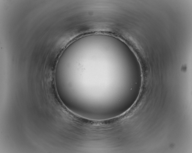 X0000090991169200708161911