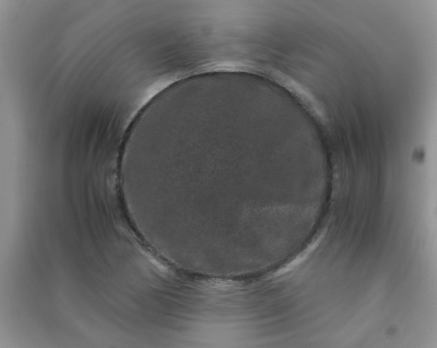 X0000090991170200708161911