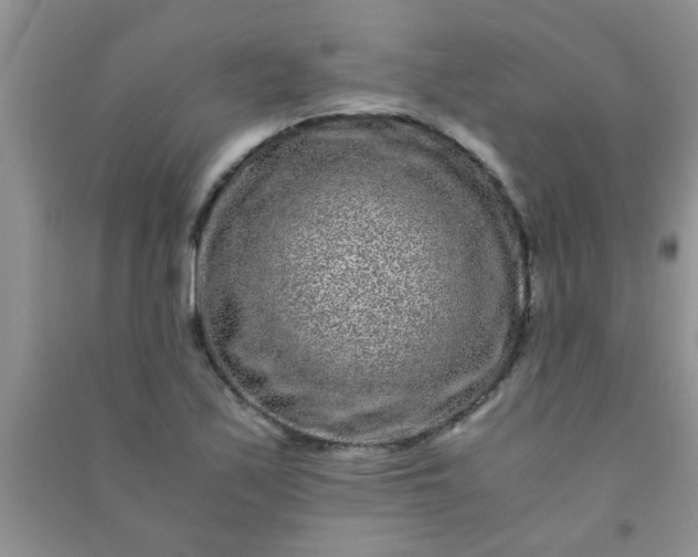 X0000090991171200708161911