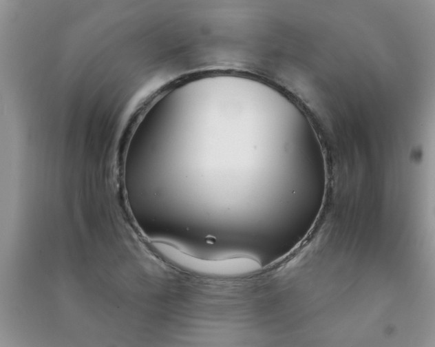 X0000090991172200708161911