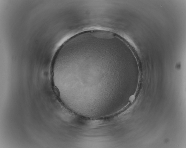 X0000090991173200708161911