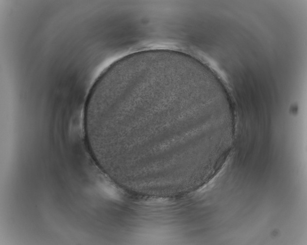 X0000090991174200708161911
