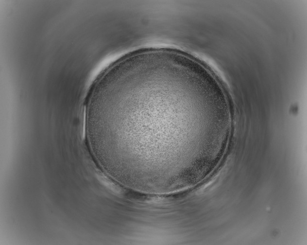 X0000090991175200708161911