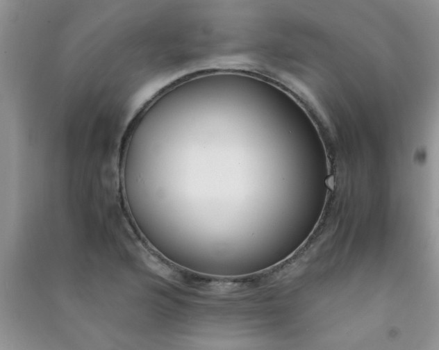 X0000090991176200708161911