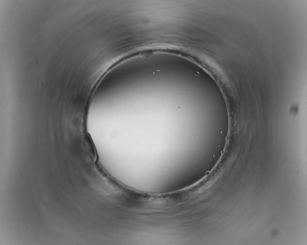 X0000090991177200708161911