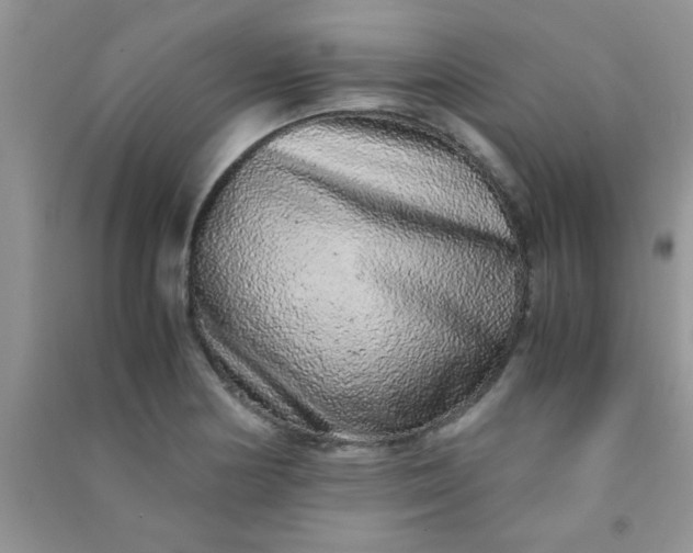 X0000090991178200708161911