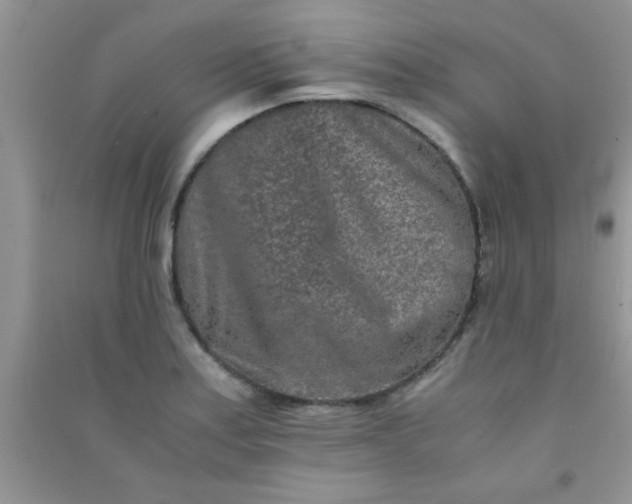 X0000090991179200708161911