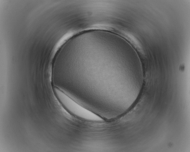 X0000090991180200708161910