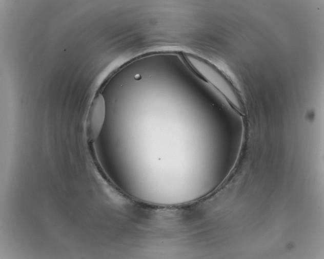 X0000090991181200708161910