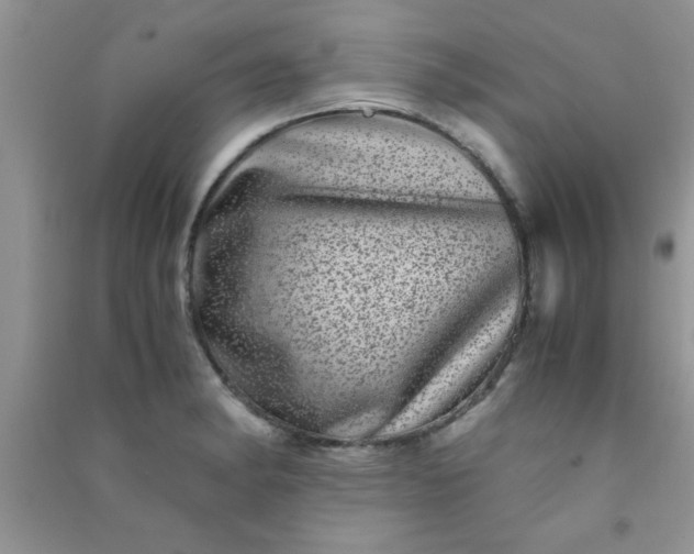 X0000090991182200708161910