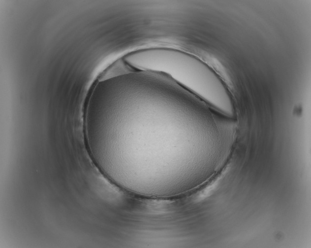 X0000090991184200708161910