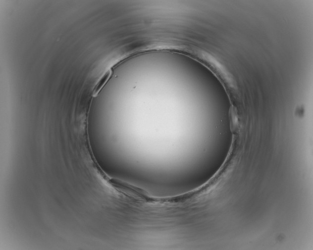 X0000090991185200708161910
