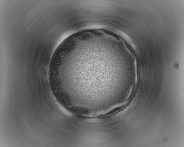 X0000090991186200708161910