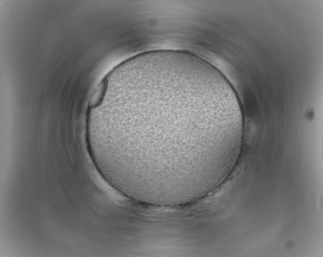 X0000090991187200708161910