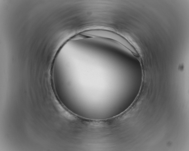 X0000090991189200708161910