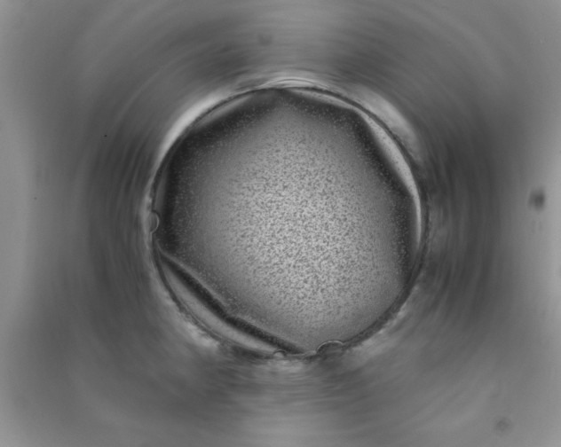X0000090991190200708161910