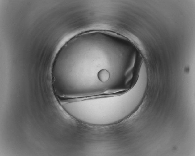 X0000090991192200708161910