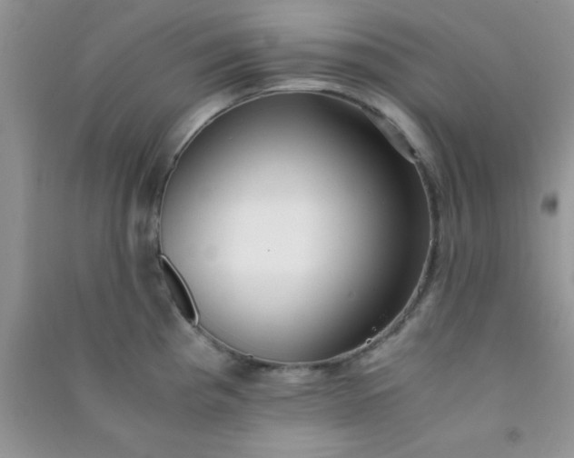 X0000090991193200708161910