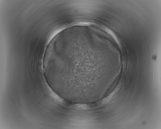 X0000090991194200708161910