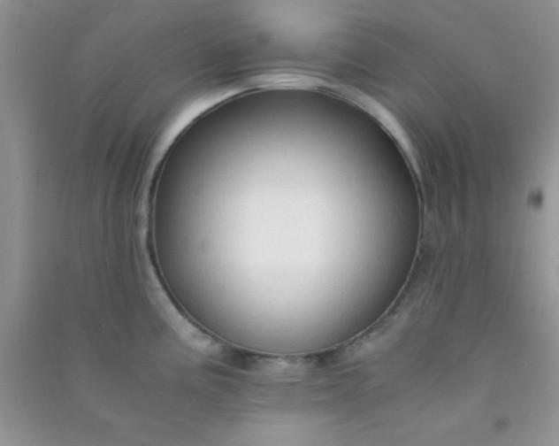 X0000090991195200708161910