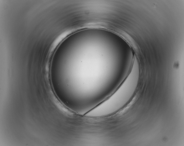 X0000090991196200708161910